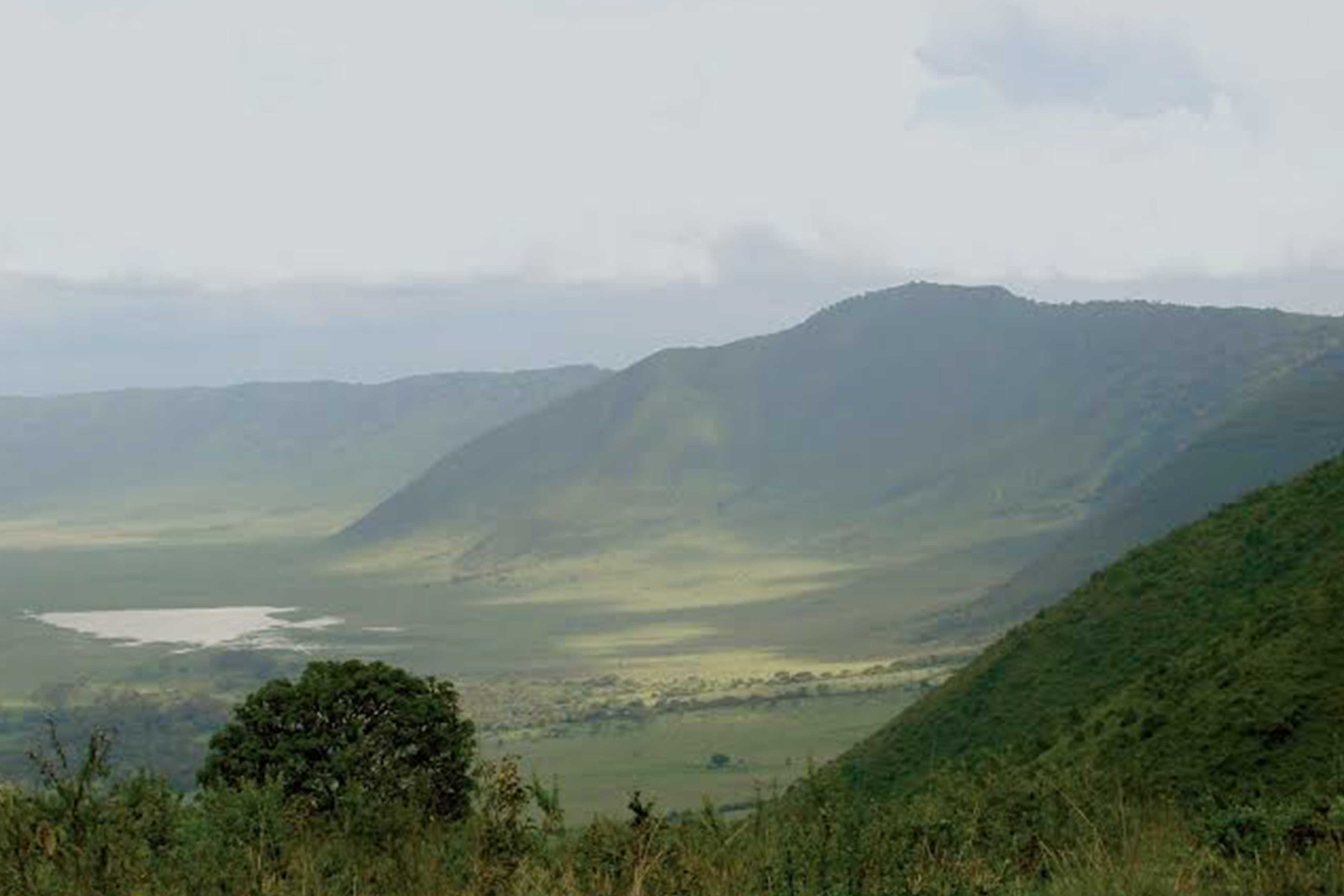 Experience a Guided Morning Walk Along the Ngorongoro Crater Rim